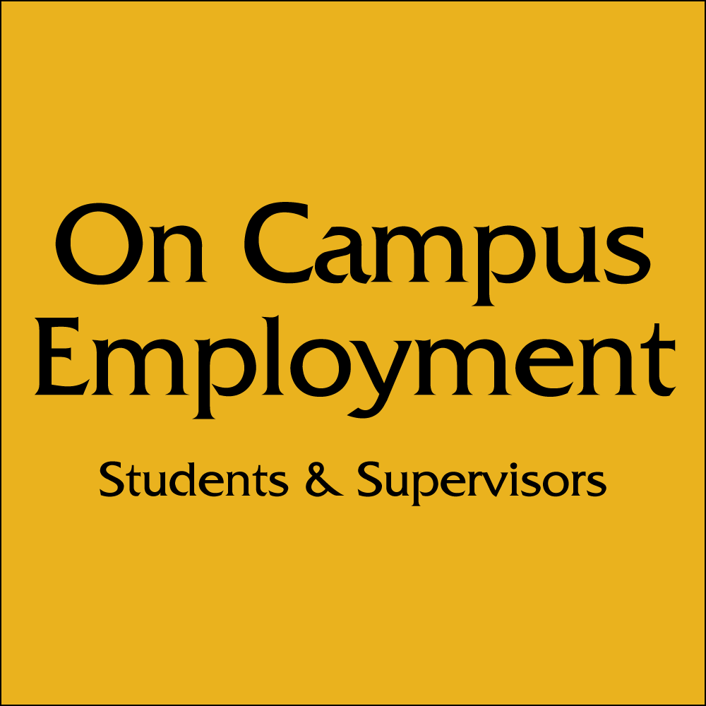 On Campus Employment Sq2