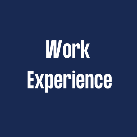White Work Experience on Navy Blue background